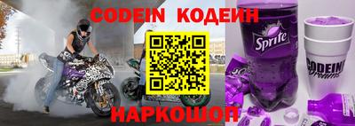 гашик Кингисепп