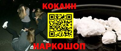 гашик Кингисепп