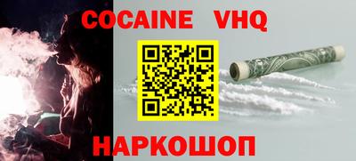 гашик Кингисепп