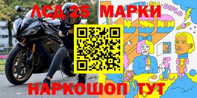 гашик Кингисепп