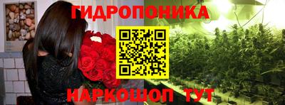 кокс Кимры