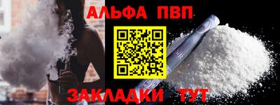 гашик Кингисепп