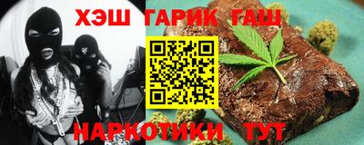 гашик Кингисепп
