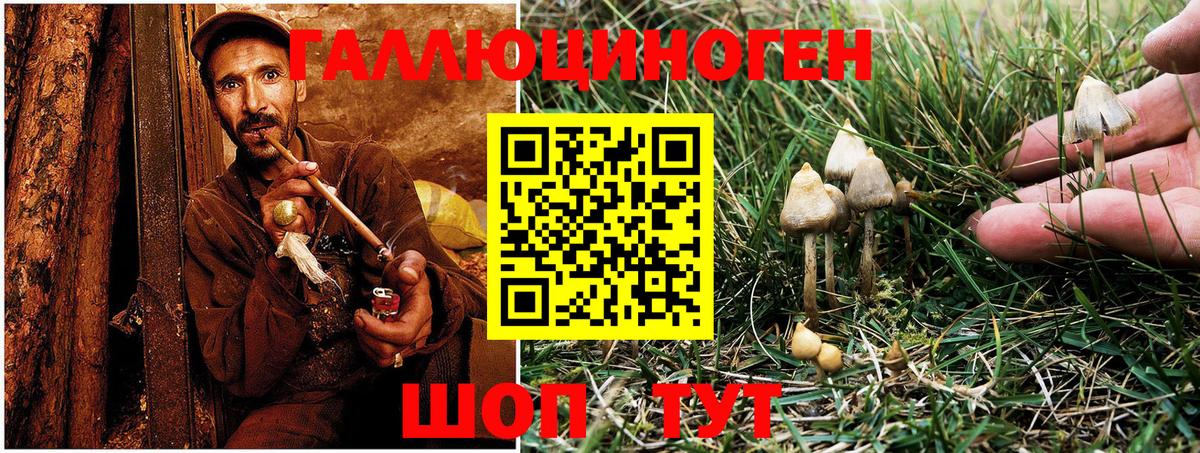 Галлюциногенные грибы Cubensis Янаул